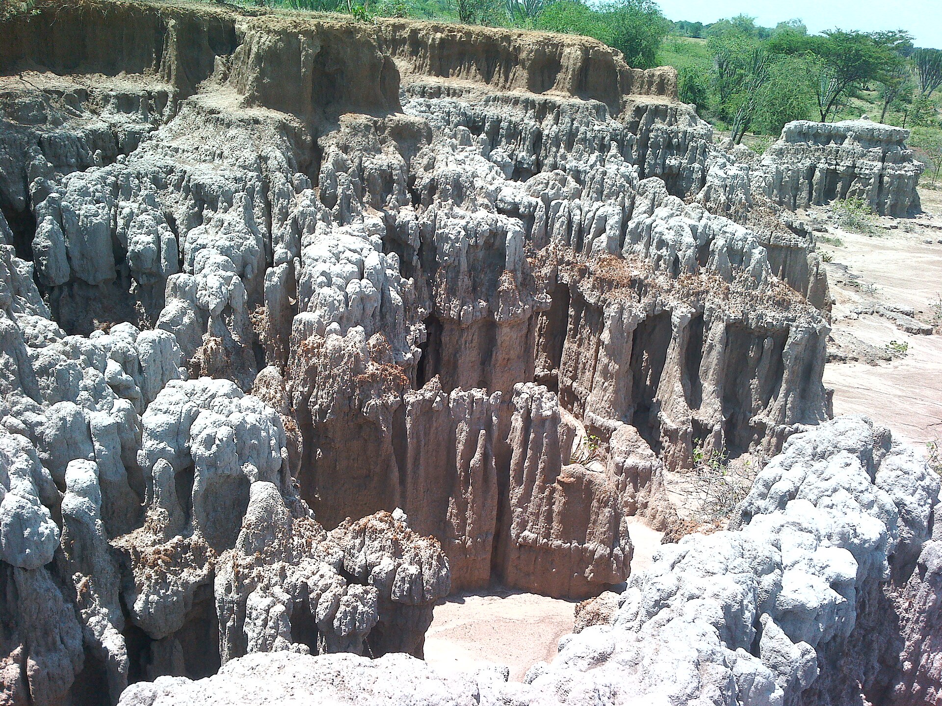 Education — Baringo