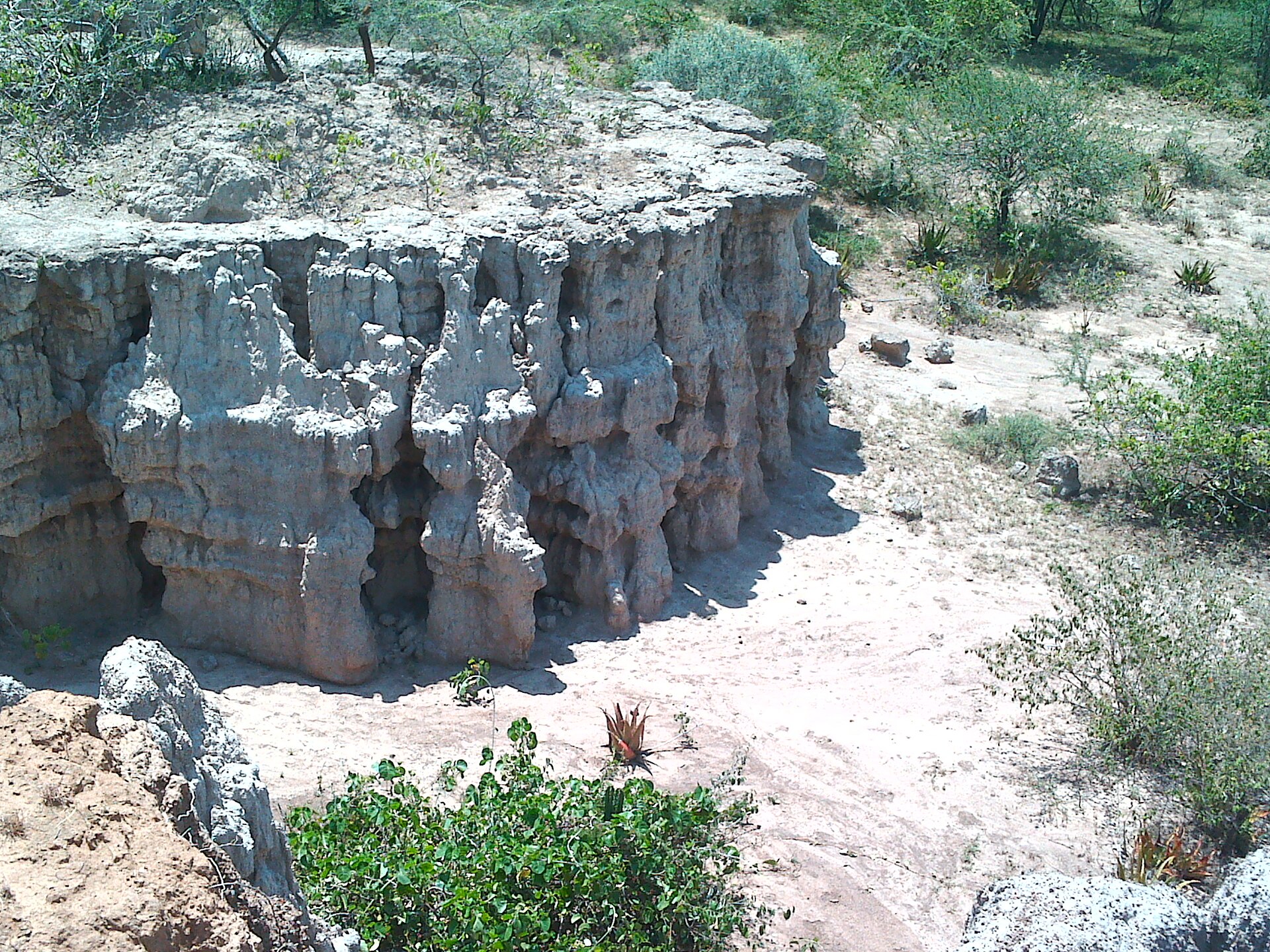 Trade & Products — Baringo