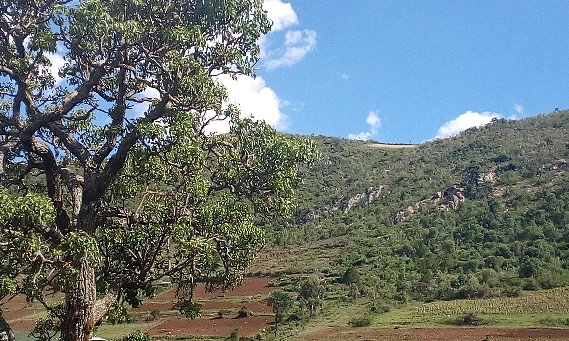 Education — Bomet