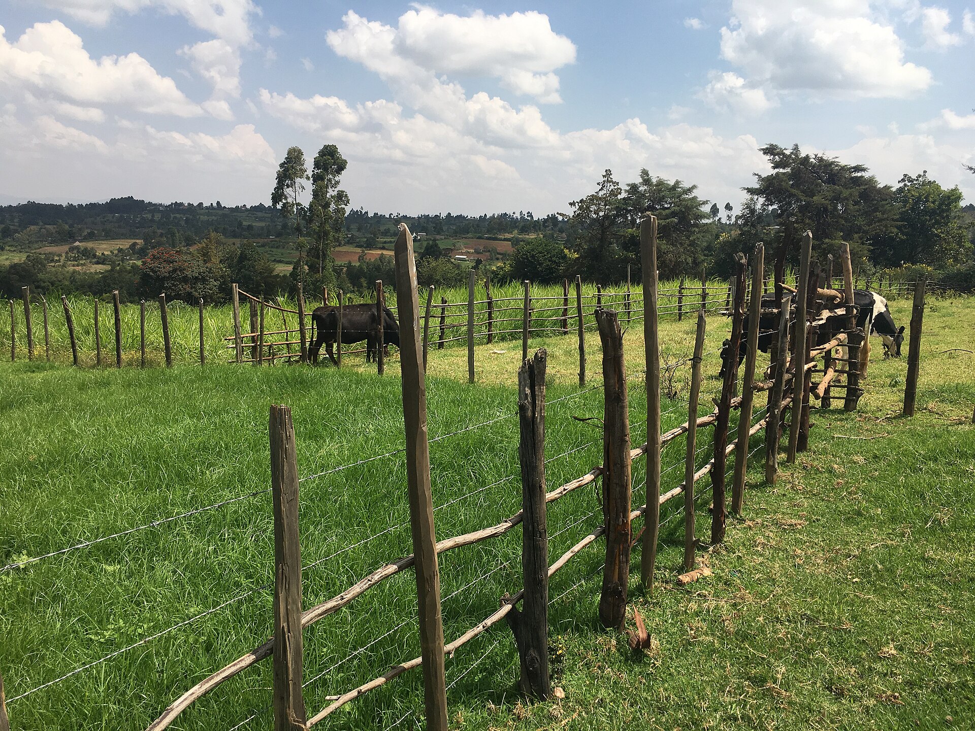 Tourism — Bomet