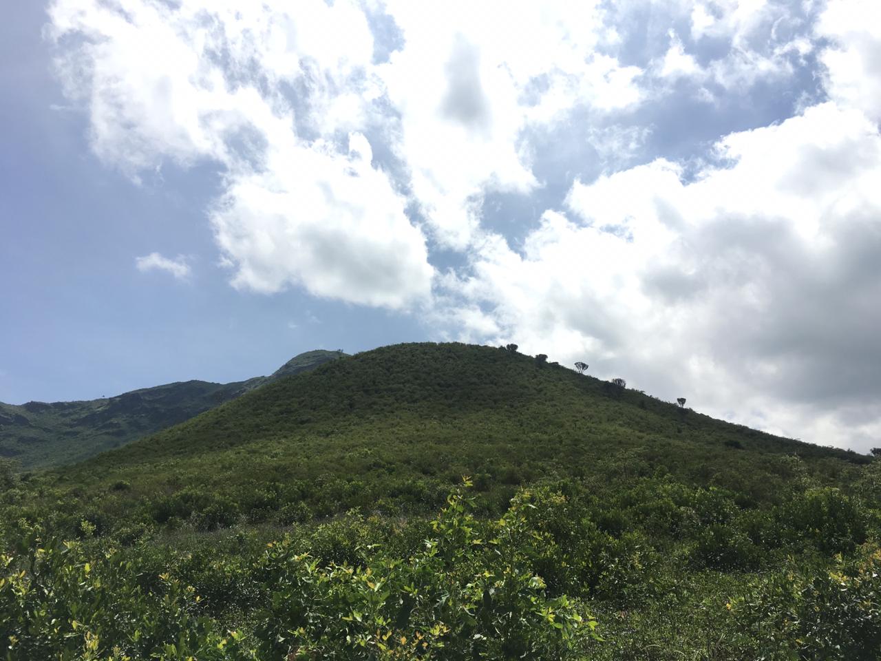 Education — Homa Bay