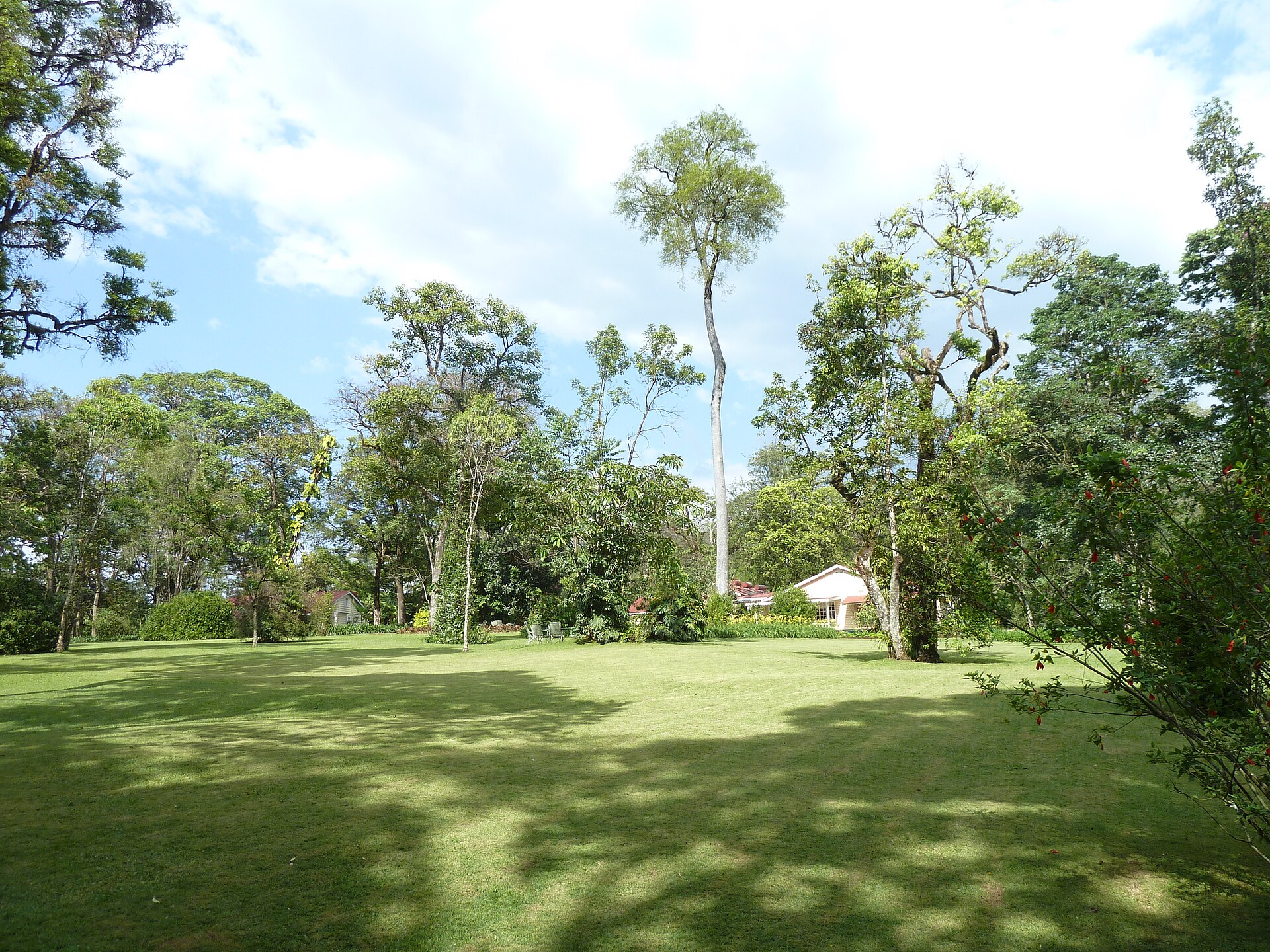 Agriculture — Kakamega