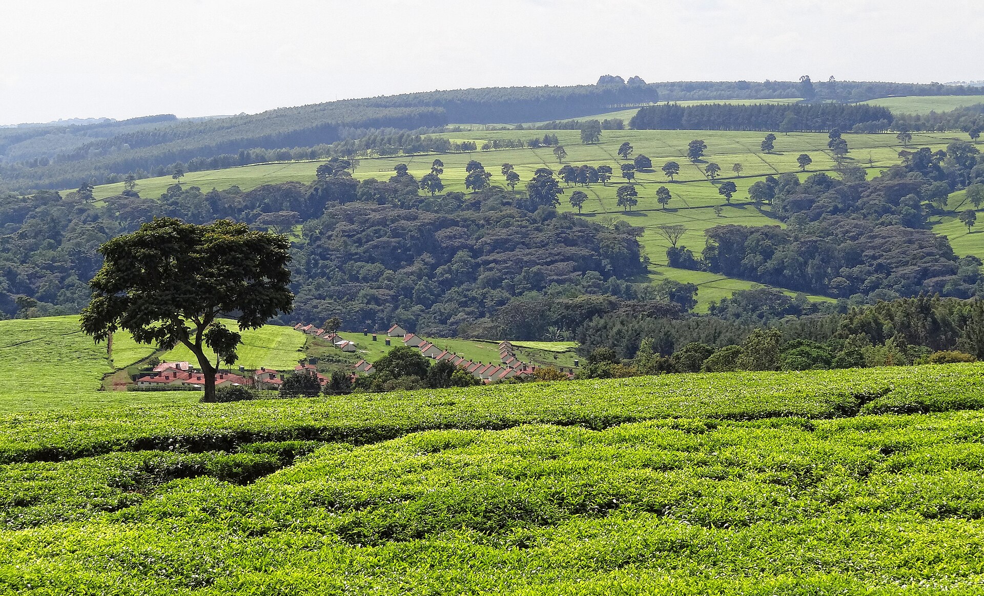Hospitality — Kericho