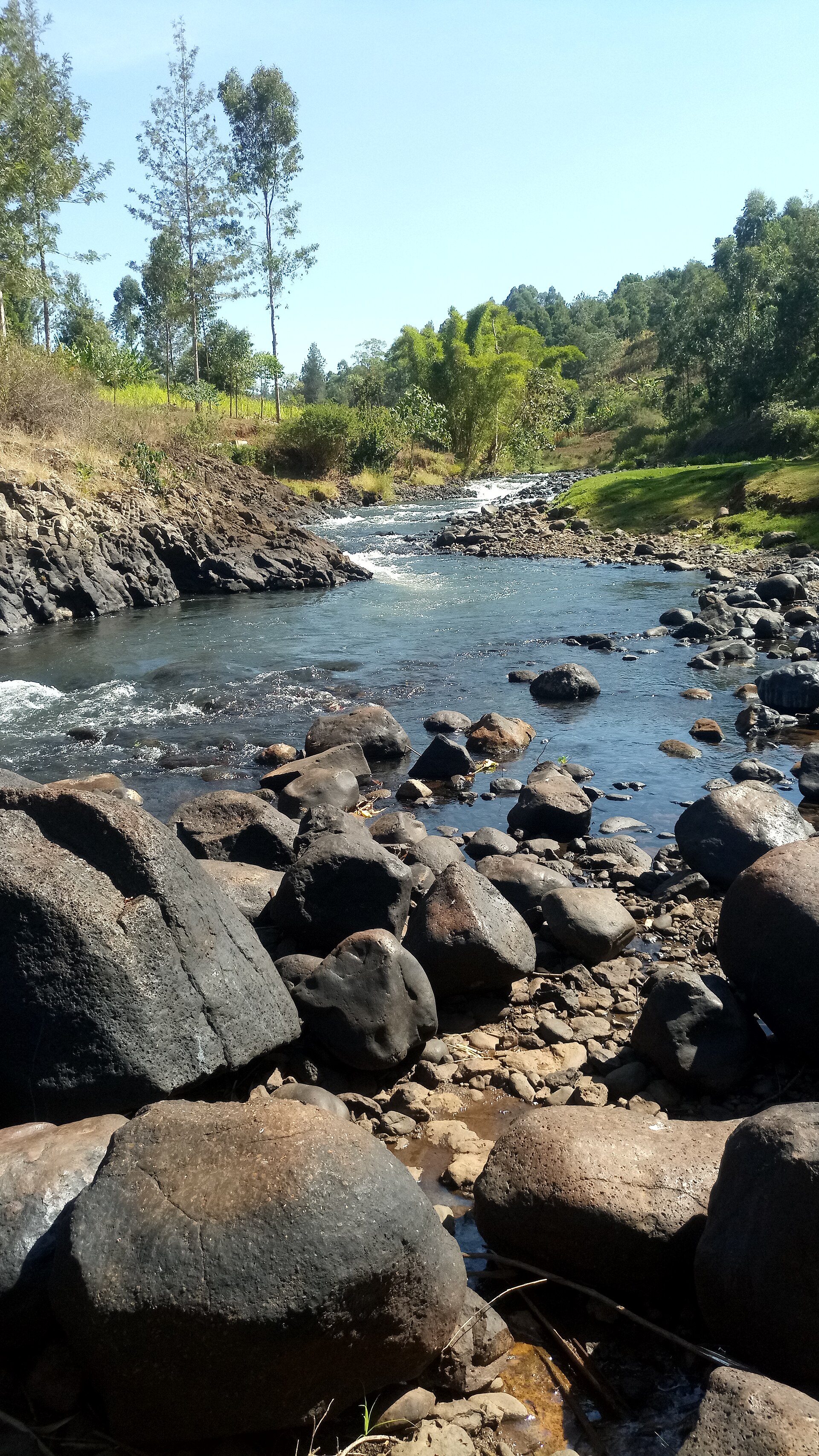 Hospitality — Kirinyaga