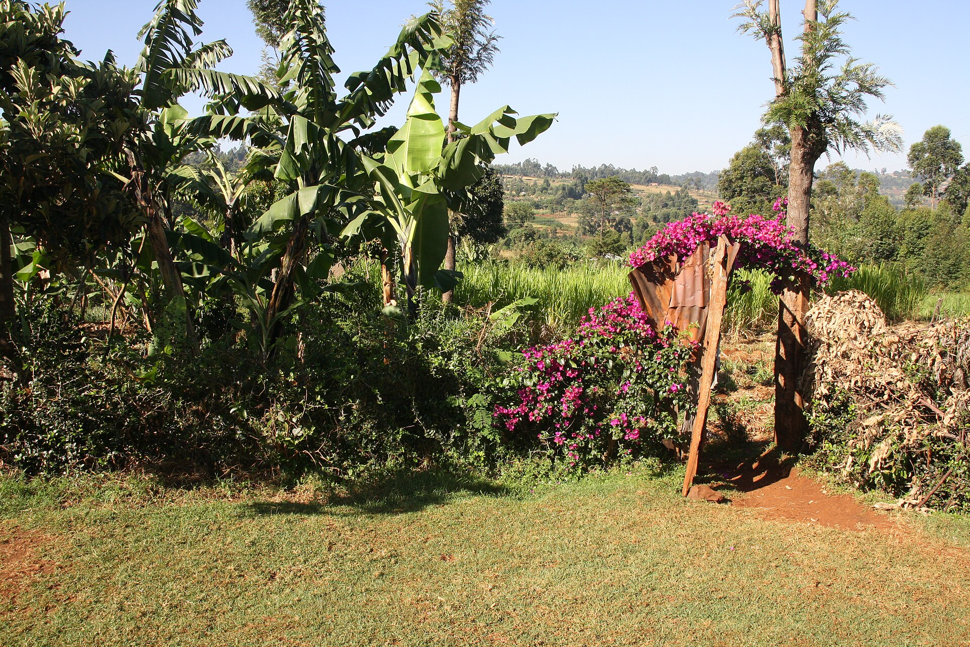 Hospitality — Kisii