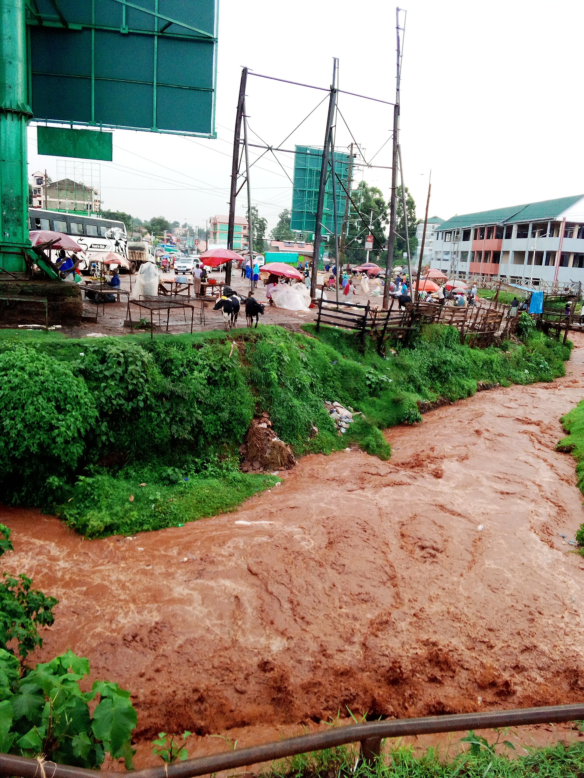 Trade & Products — Kisii
