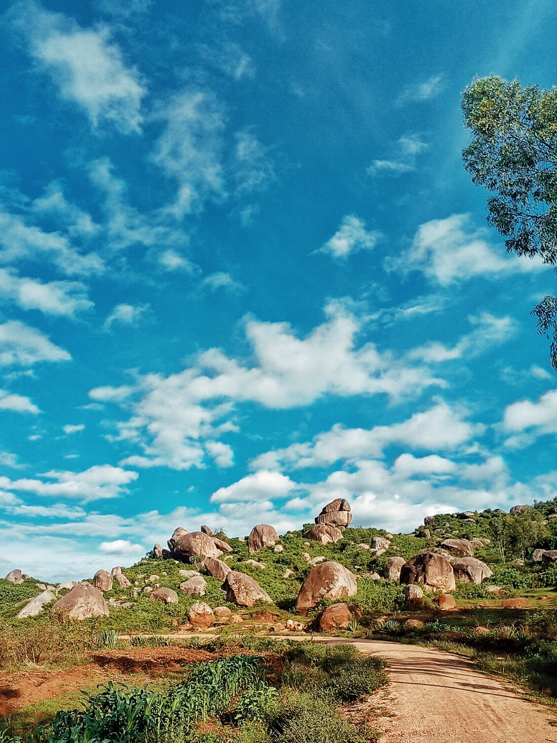 Trade & Products — Kisumu