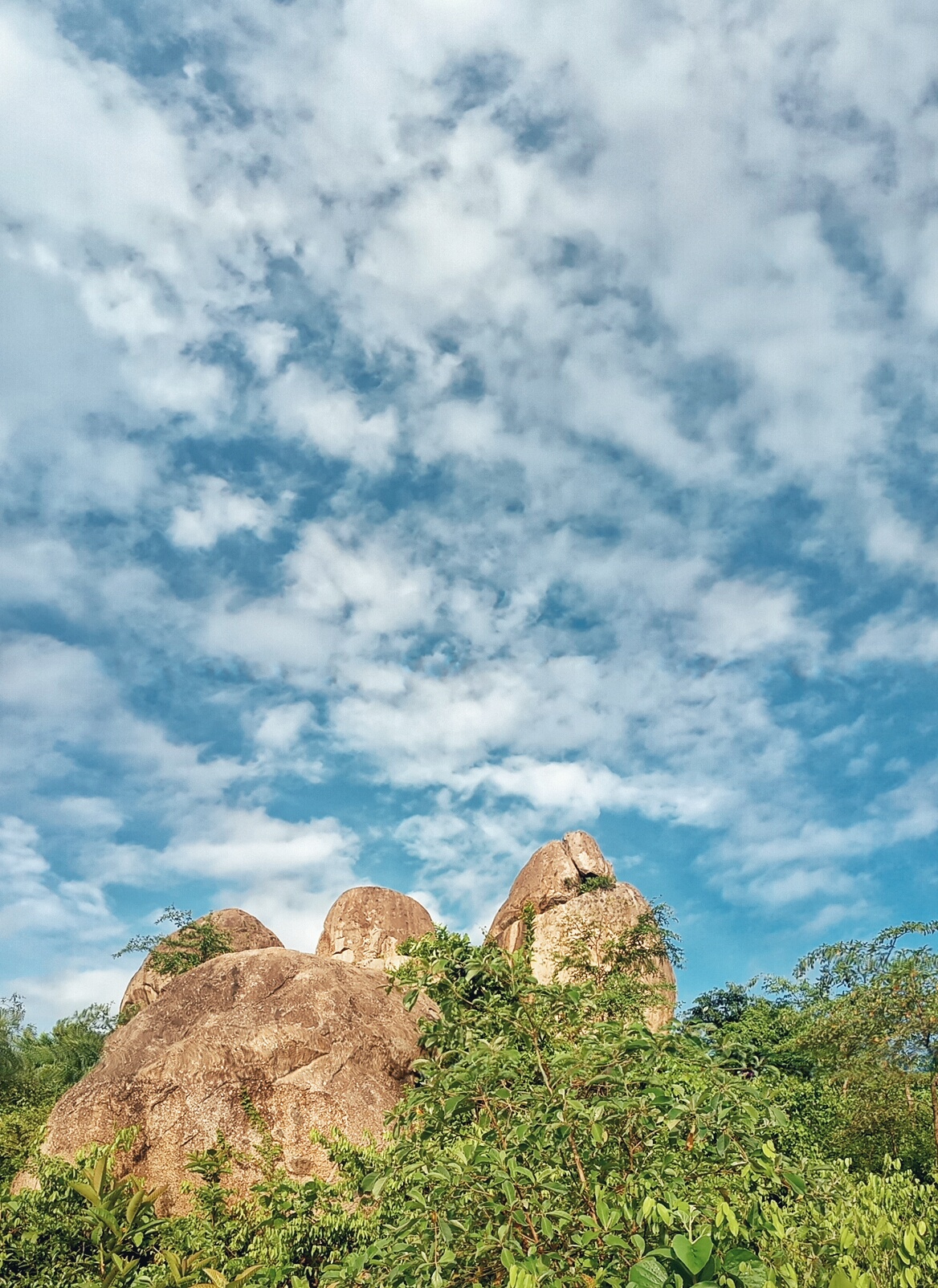 Transport — Kisumu