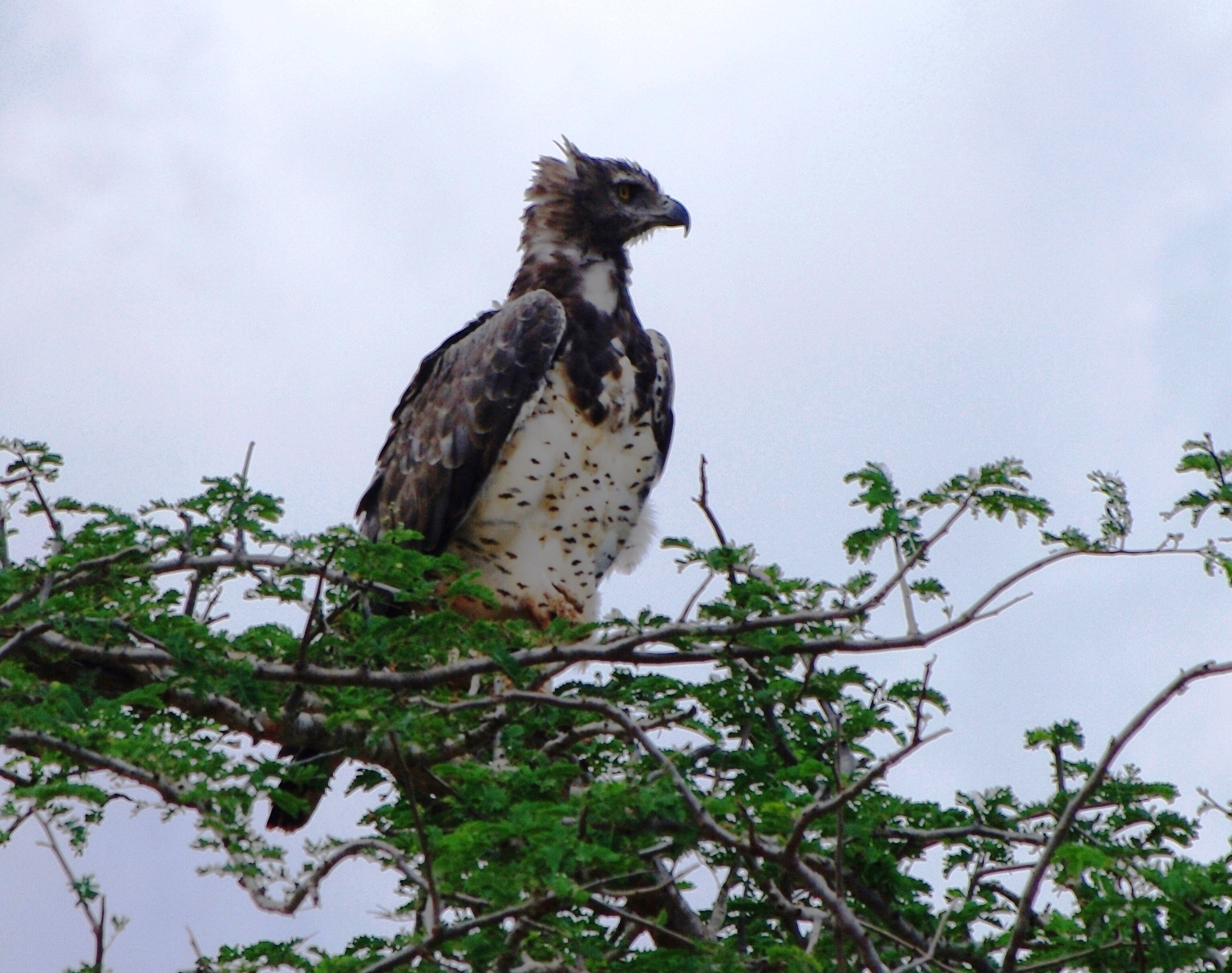 Hospitality — Kitui