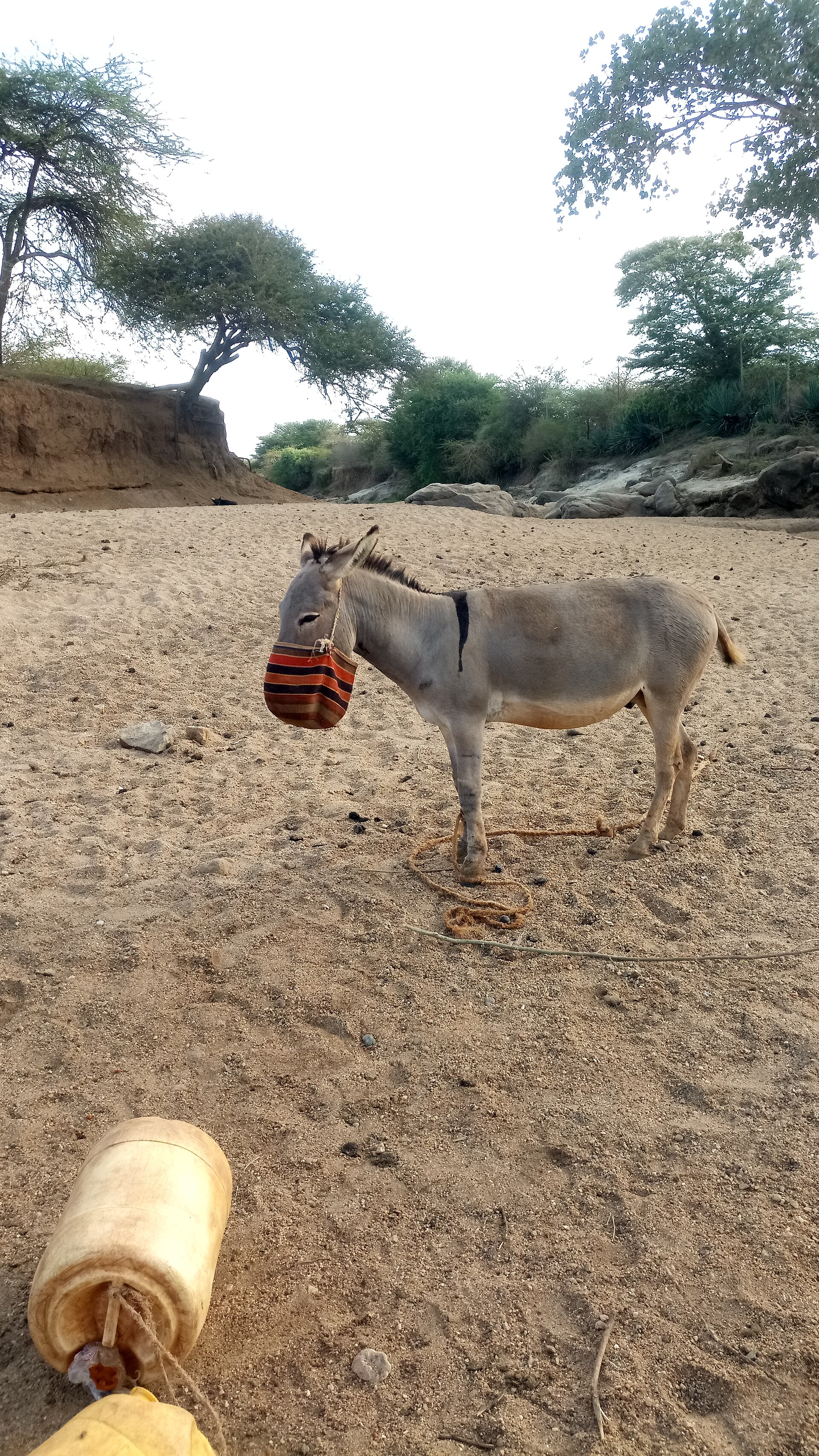 Education — Kitui