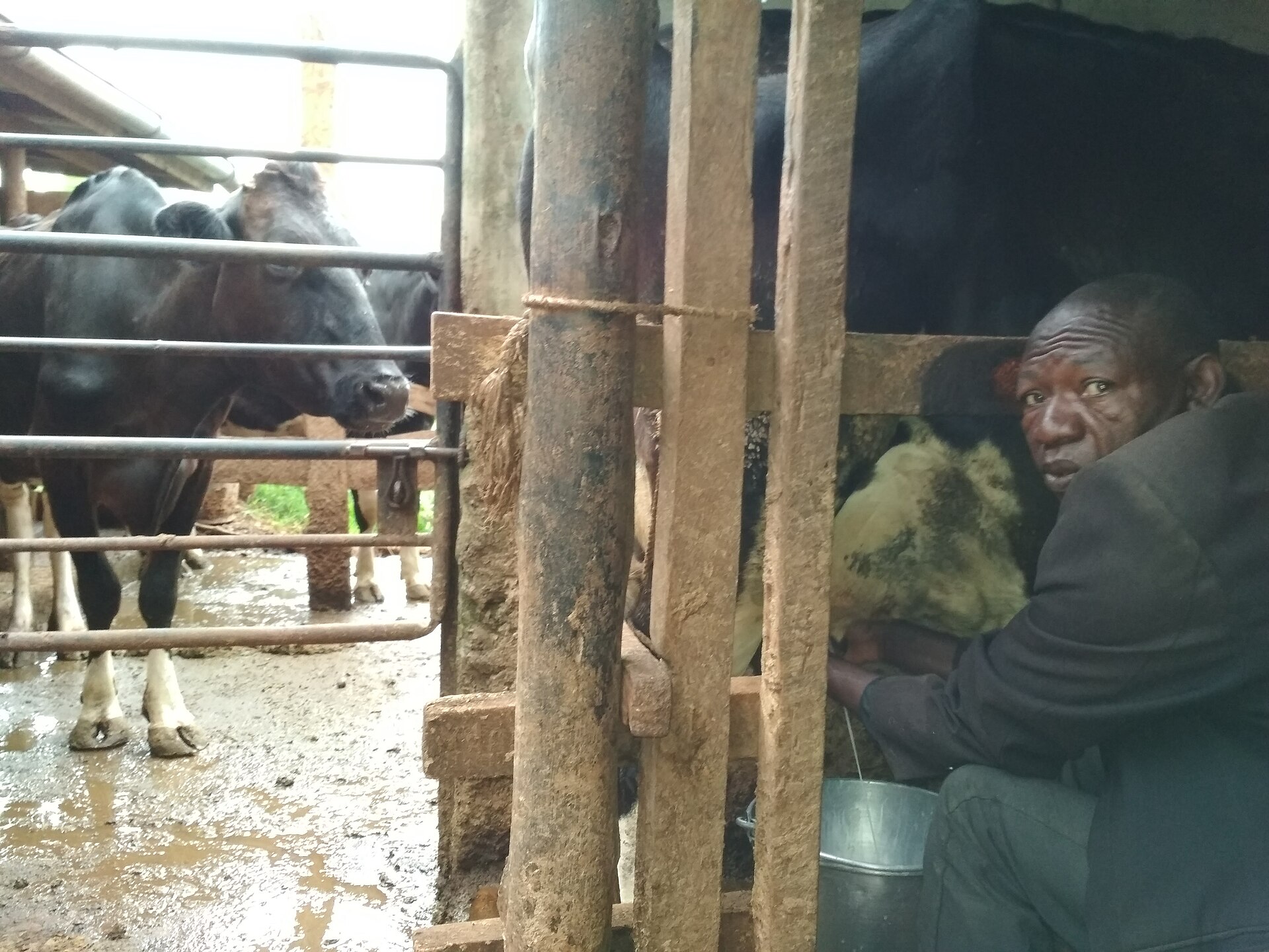 Hospitality — Murang'a