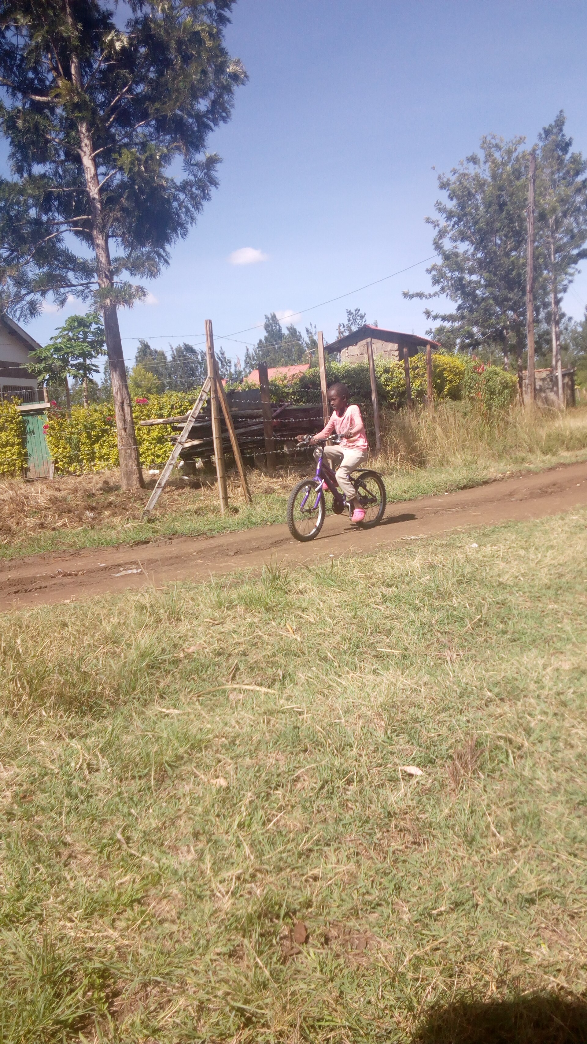 Education — Murang'a