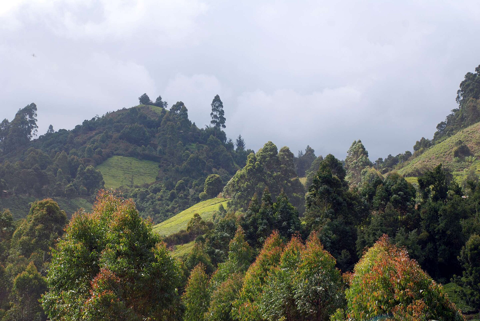 Tourism — Murang'a