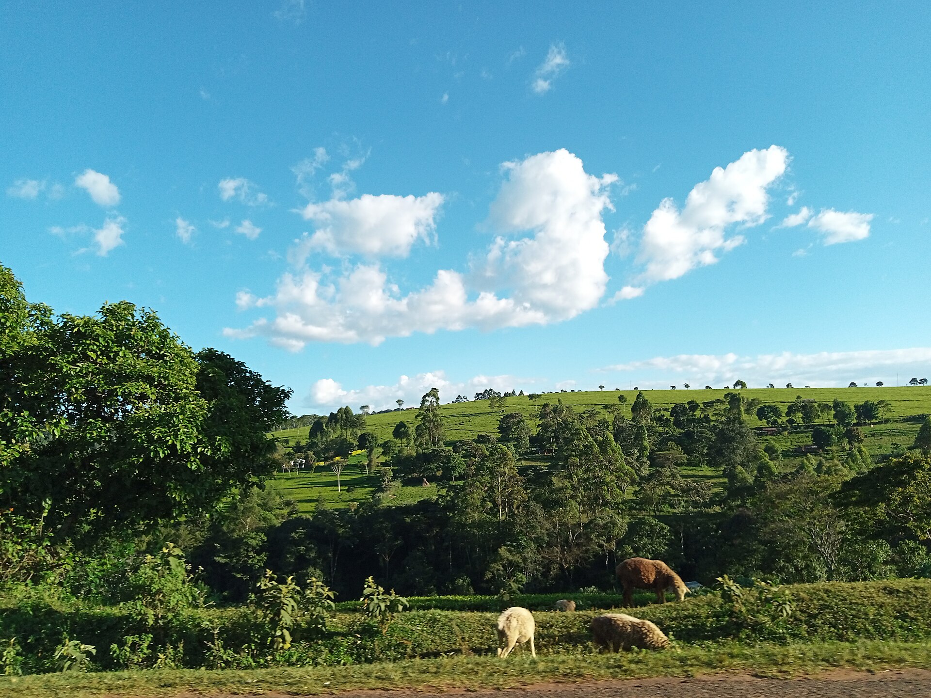 Hospitality — Nandi