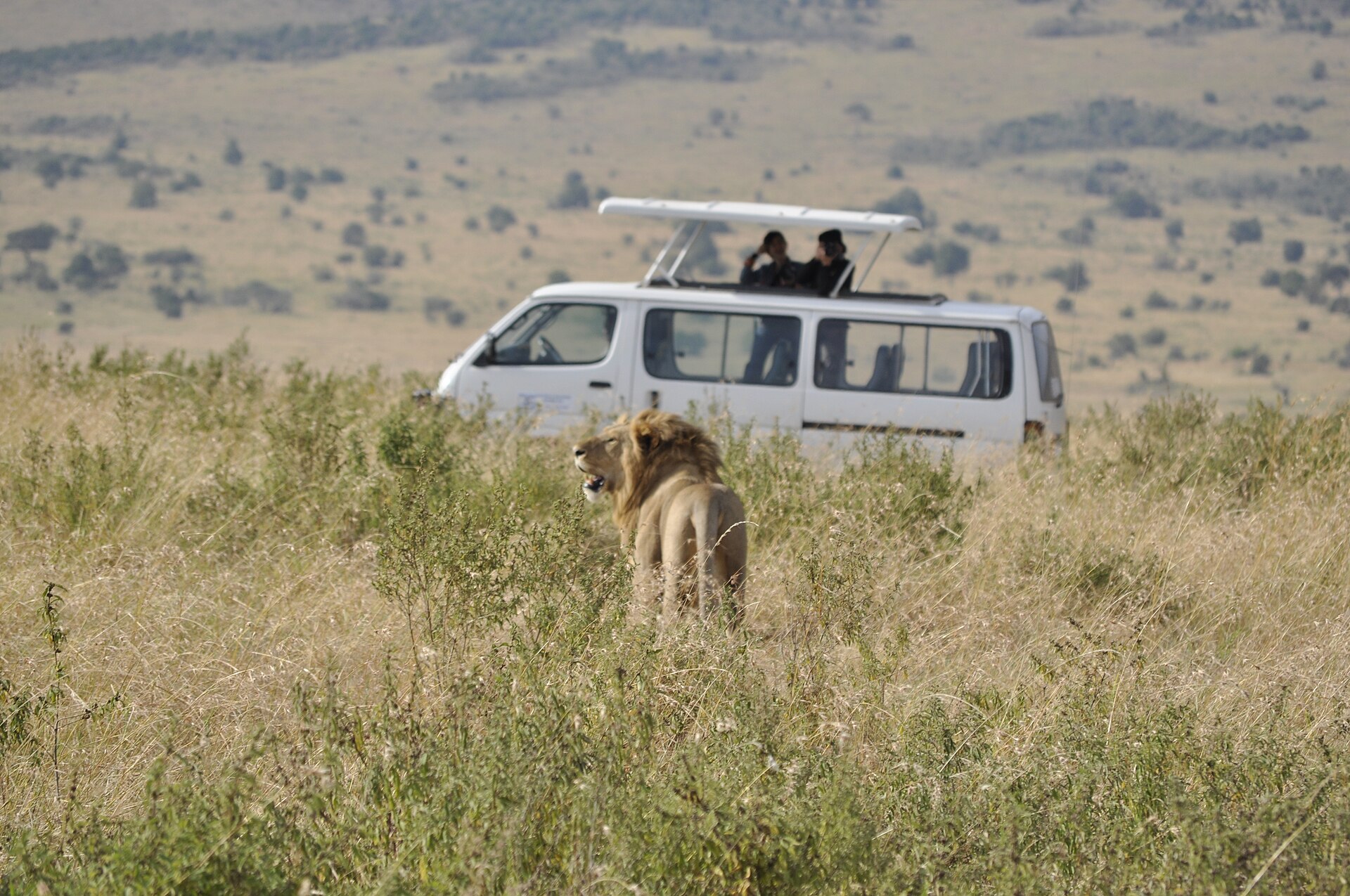 Hospitality — Narok
