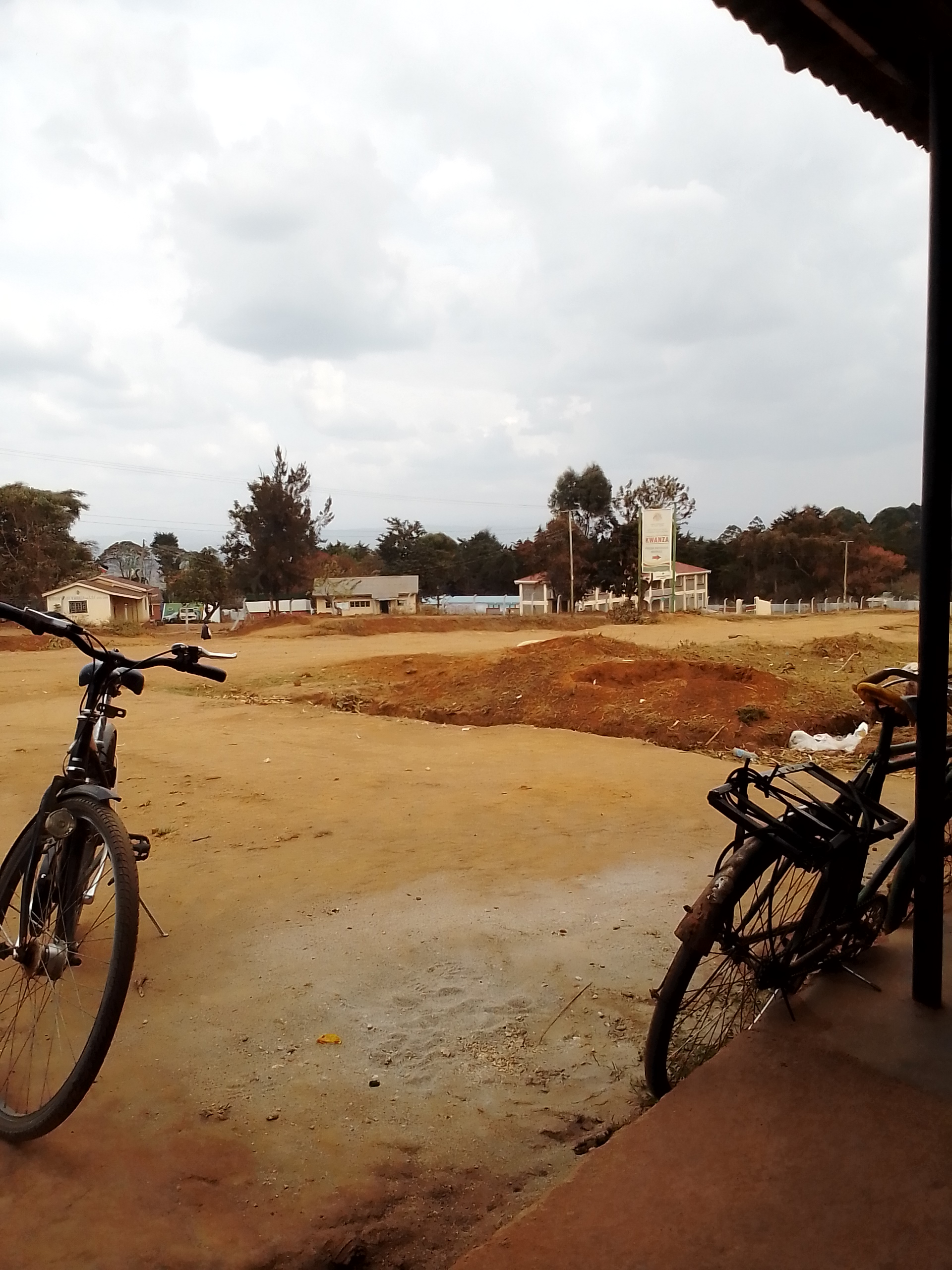 Agriculture — Trans Nzoia