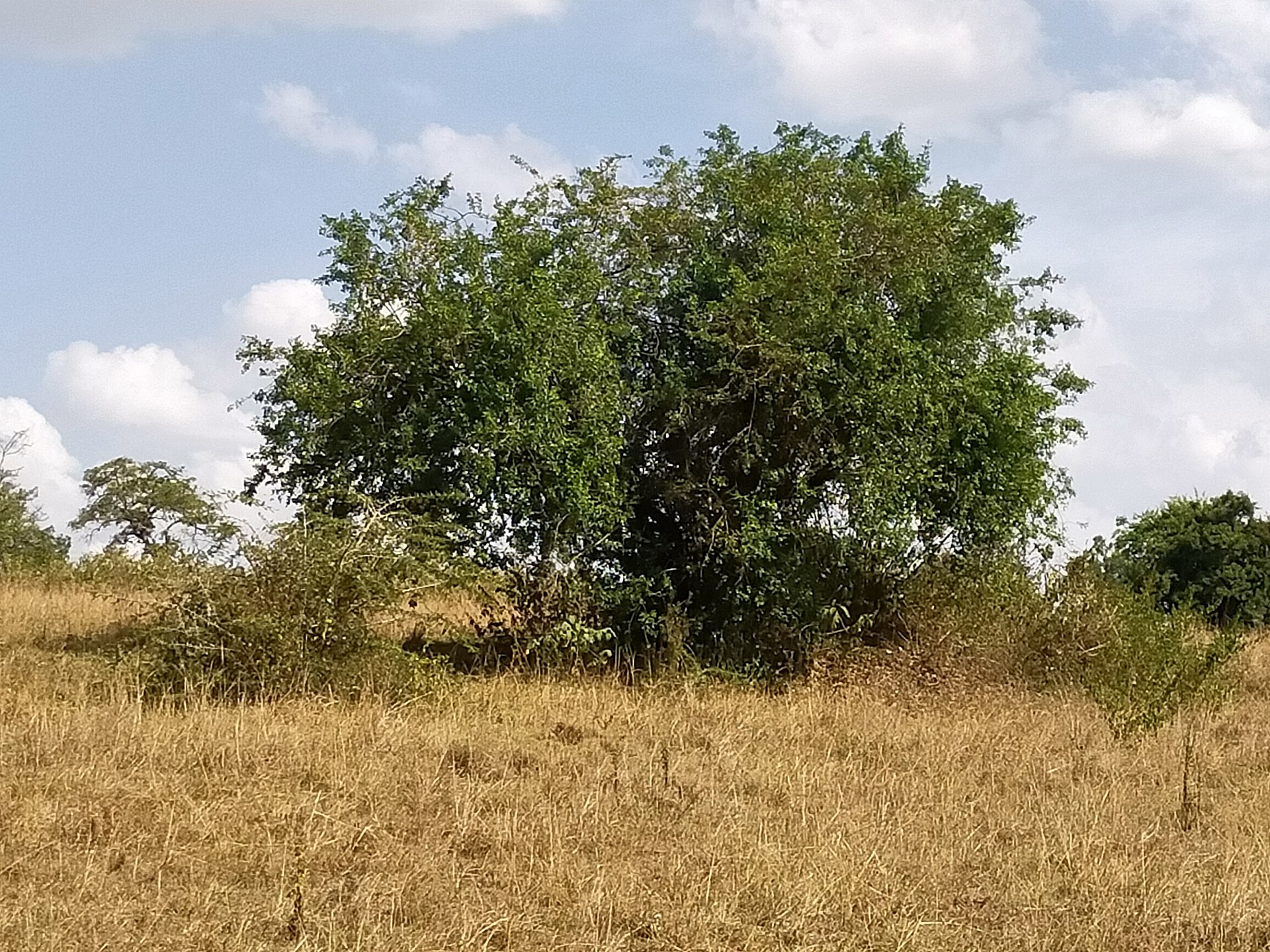Education — Trans Nzoia