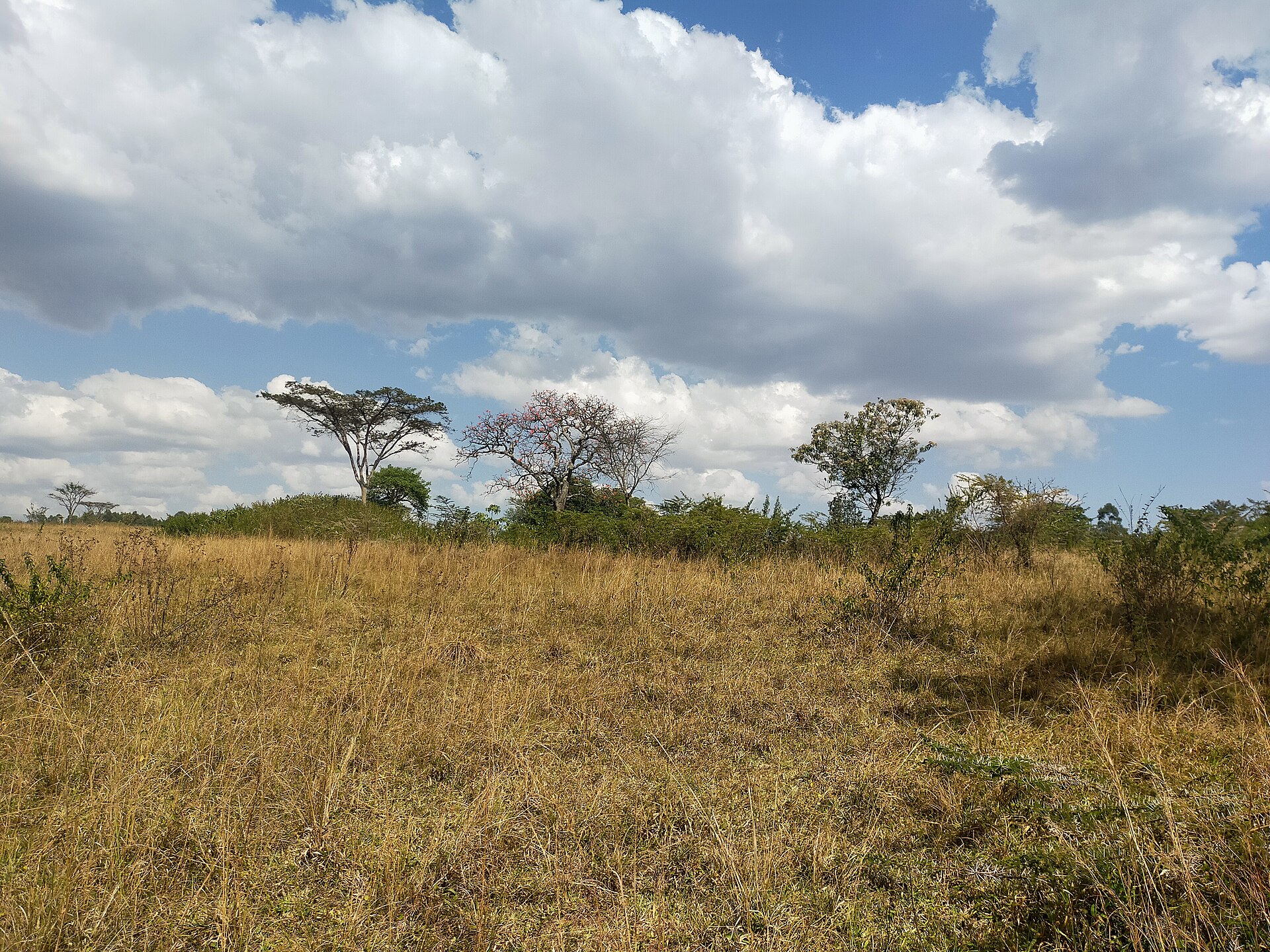 Tourism — Trans Nzoia