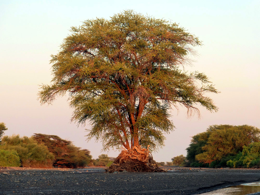 Tourism — Turkana
