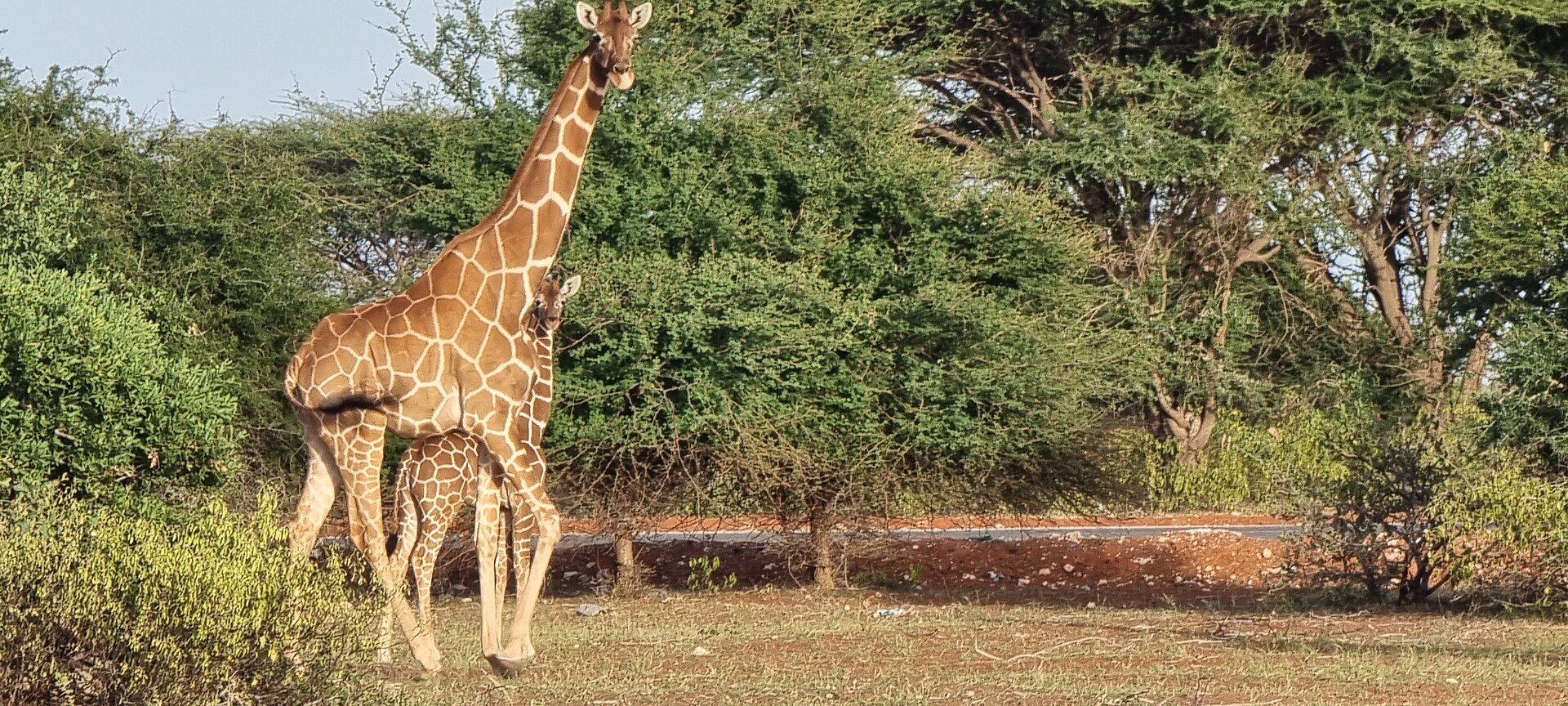 Tourism — Wajir
