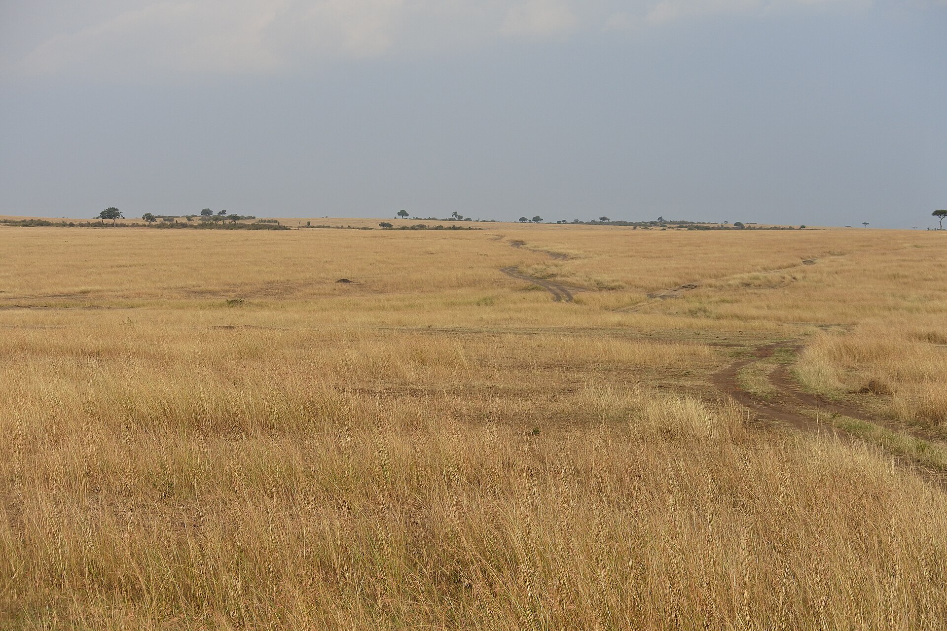 Culture — West Pokot