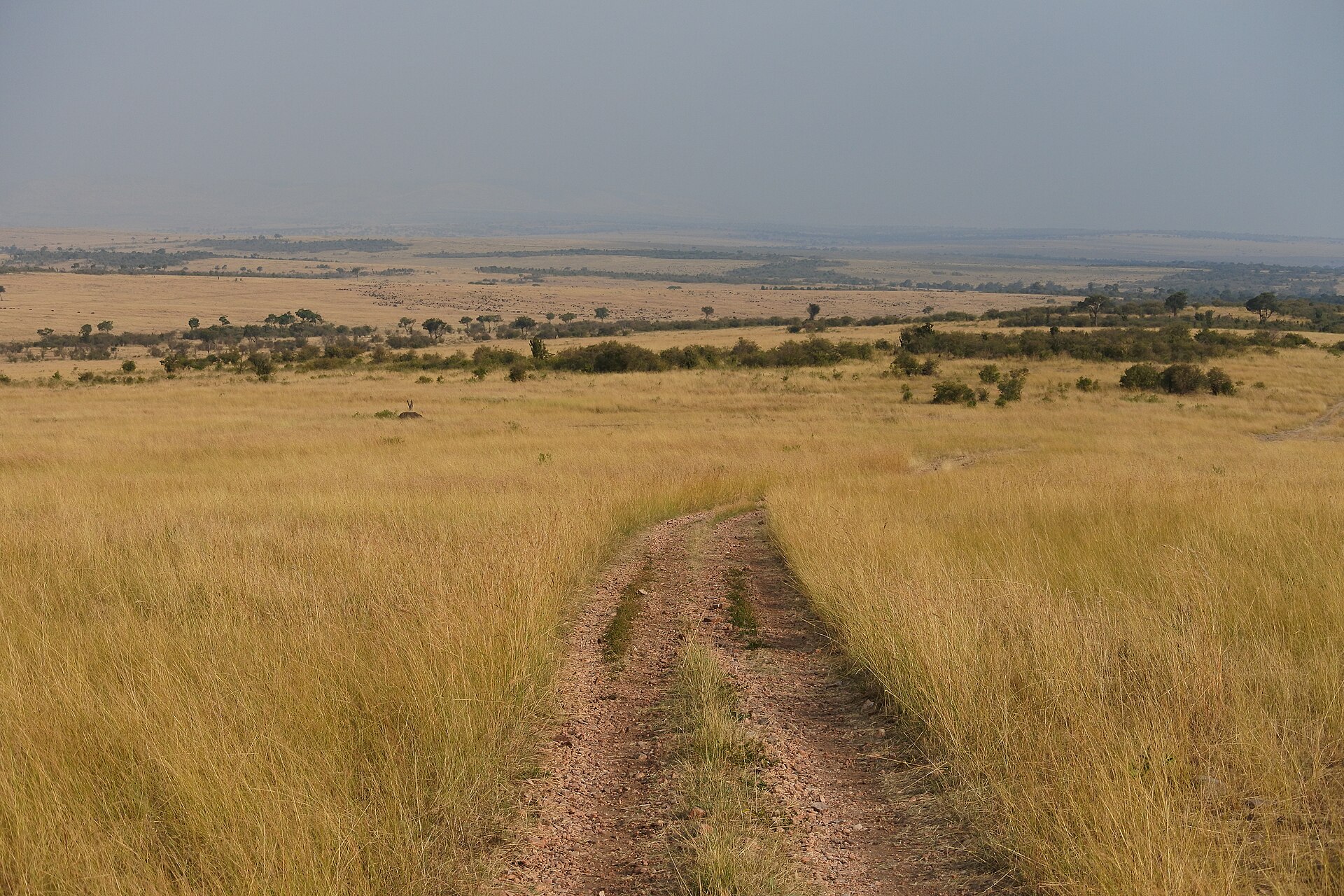 Hospitality — West Pokot