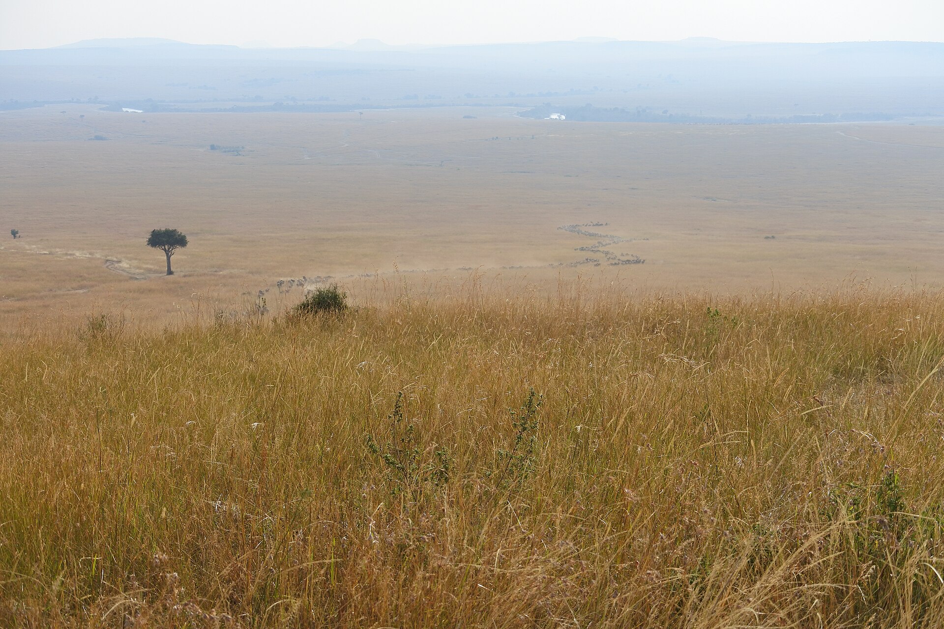 Education — West Pokot