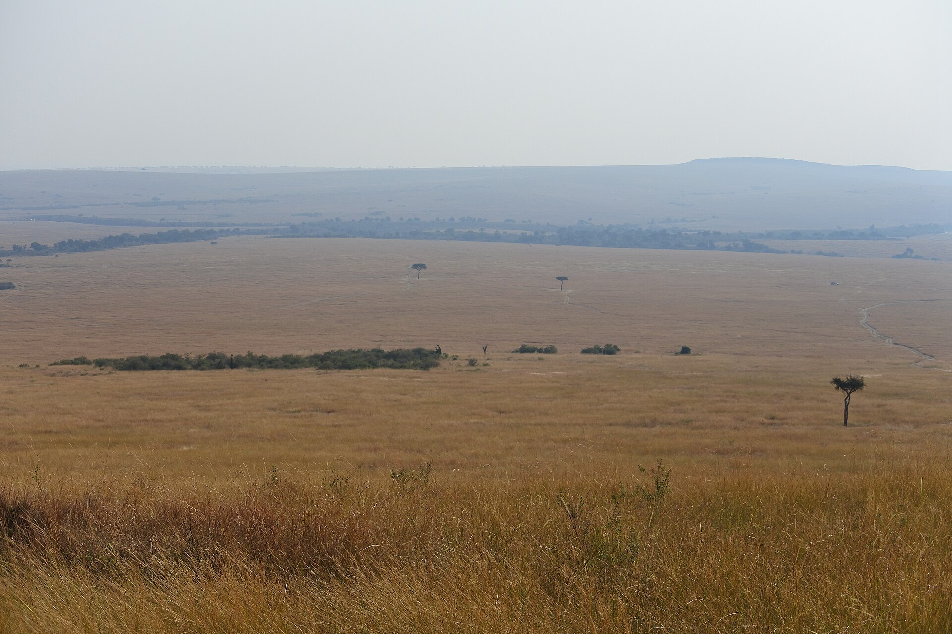 Trade & Products — West Pokot