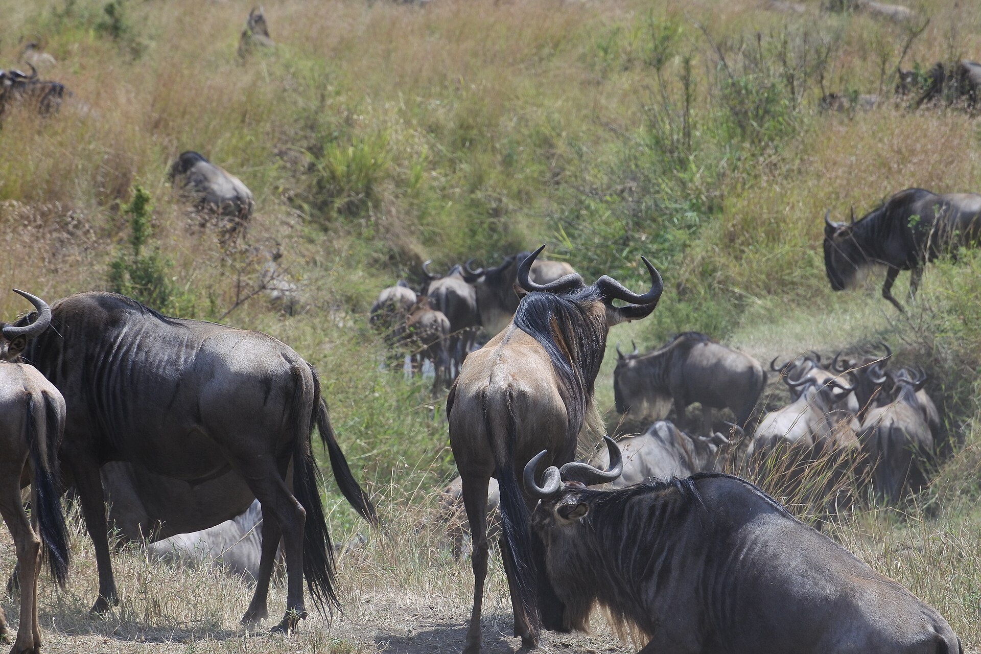 Tourism — West Pokot