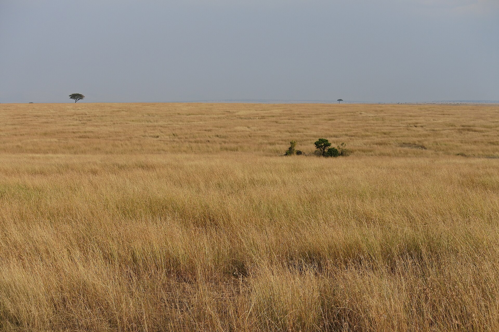 Transport — West Pokot